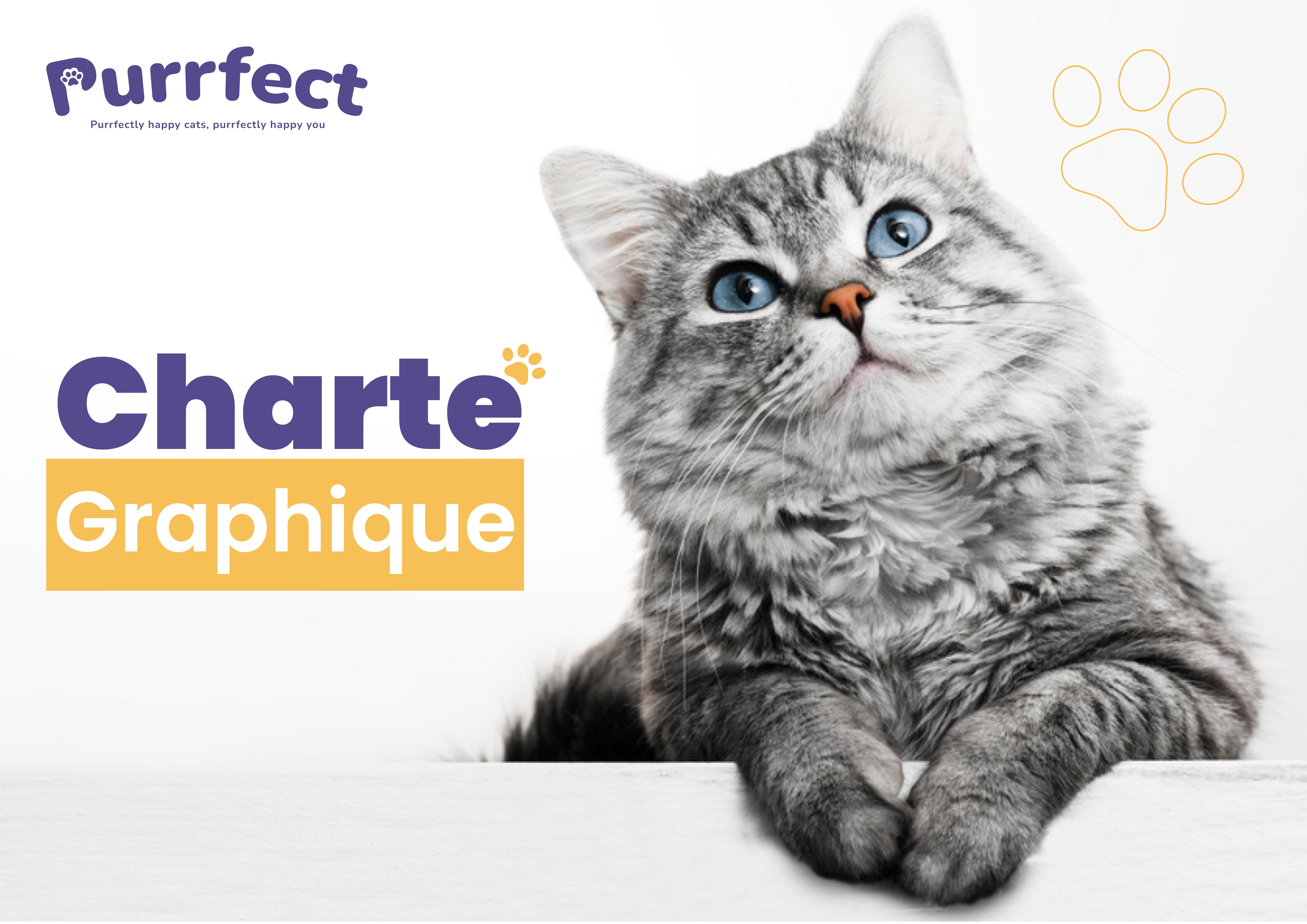 Purrfect Brand Identity Manual